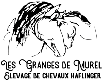 Elevage des granges de murel